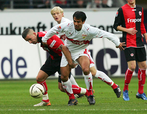 从而反哺到 从而反哺到